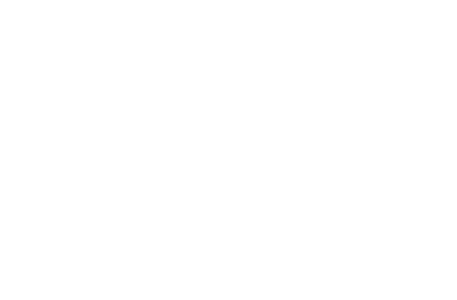 AgentFlow AI